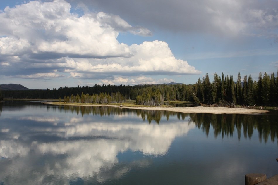 reflection of trees and clouds in the lake