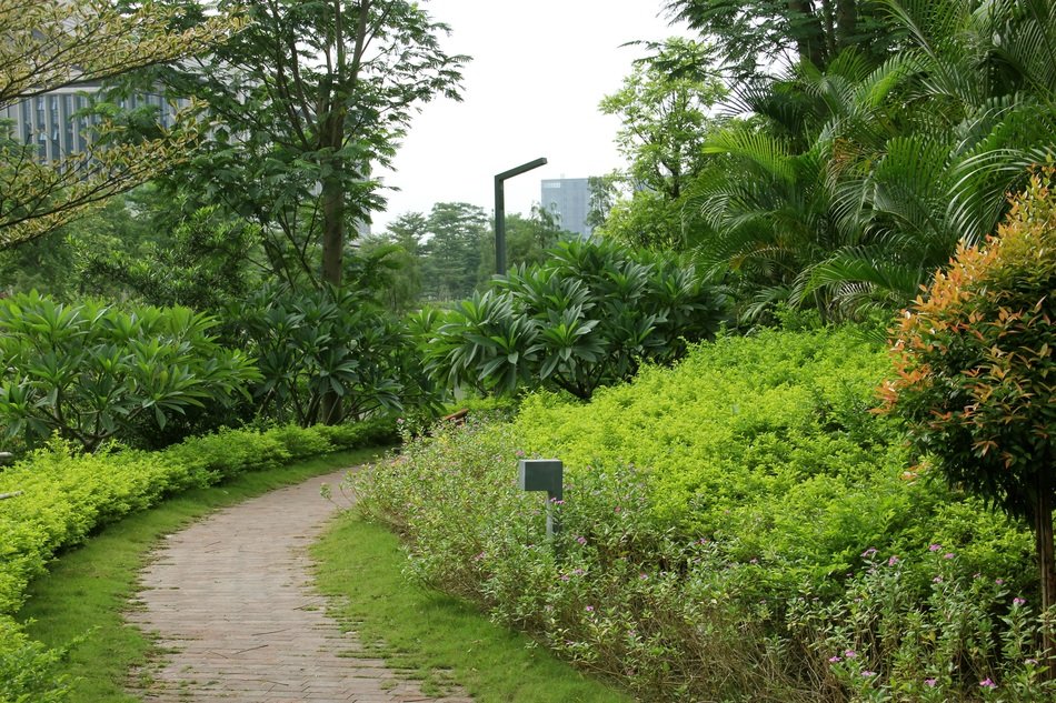 green way in the park