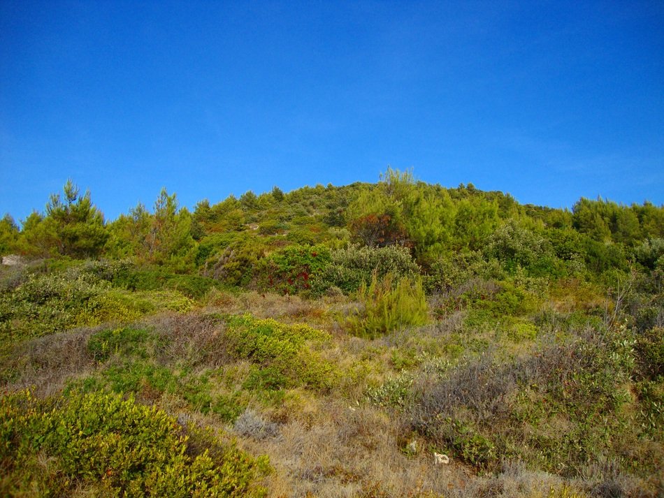 Cloudless sky over the hill
