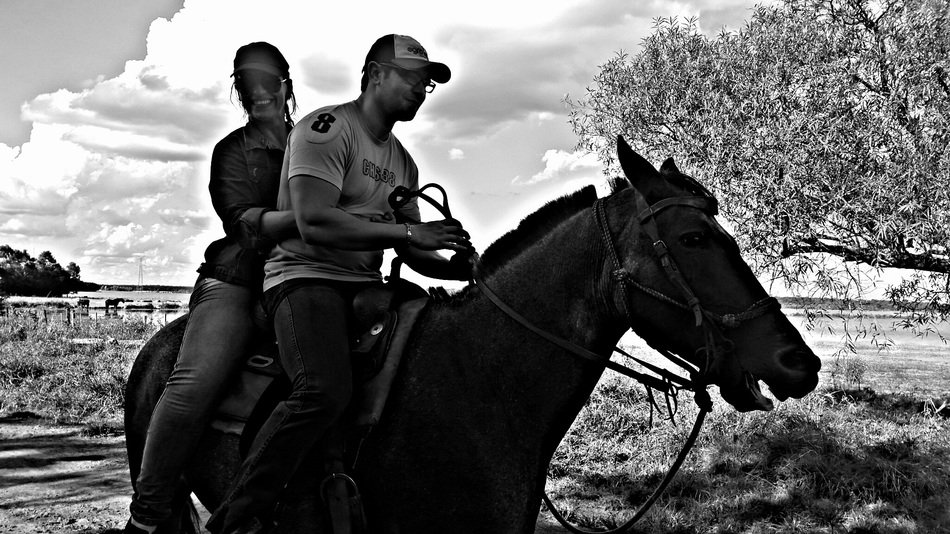 Black and white landscape with the horse riding