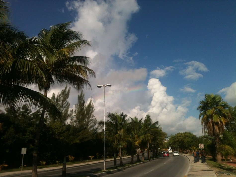 highway along the palm trees in Cancun, Mexico