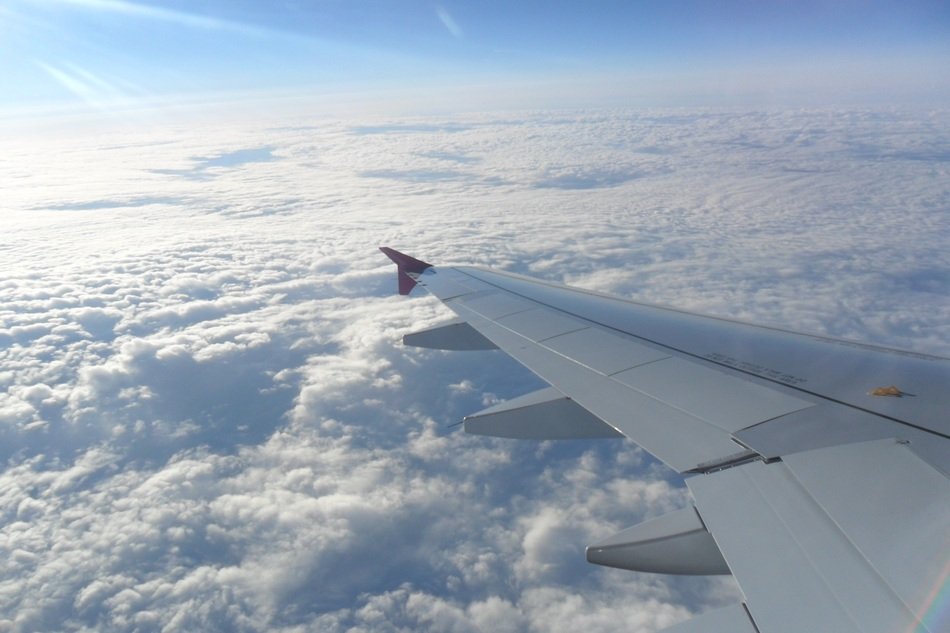 The plane in skies