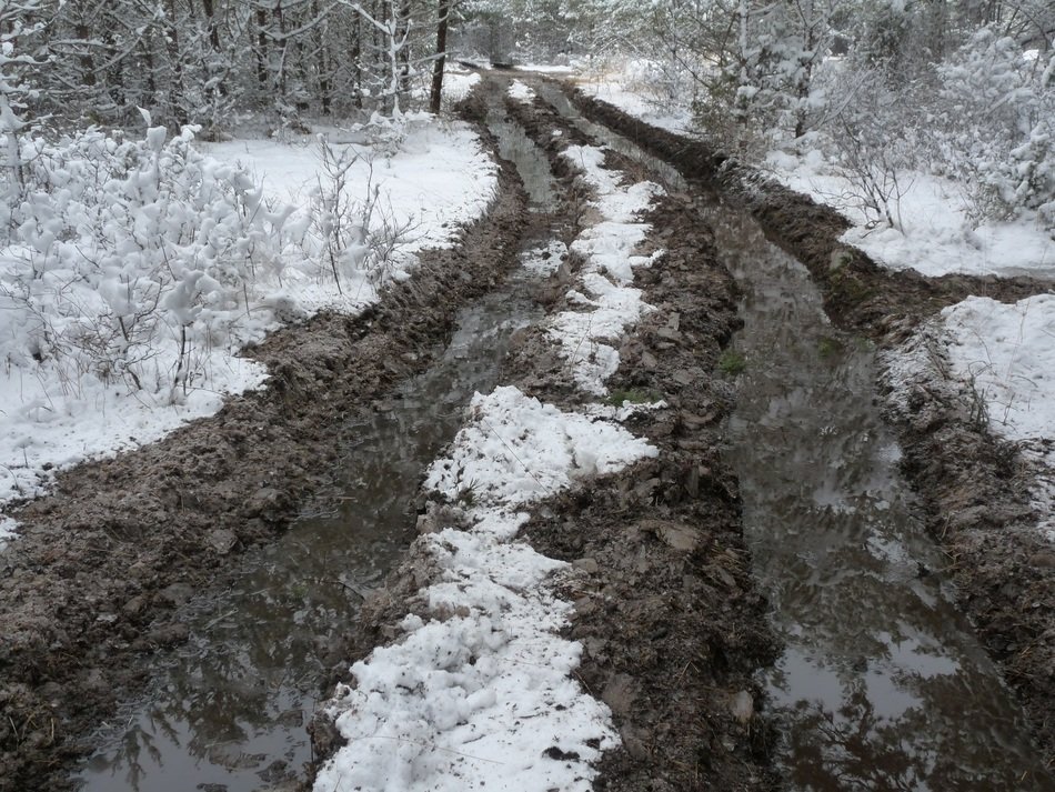 off-road in the winter forest