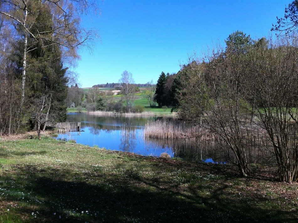 landscape of fascinating water in countryside