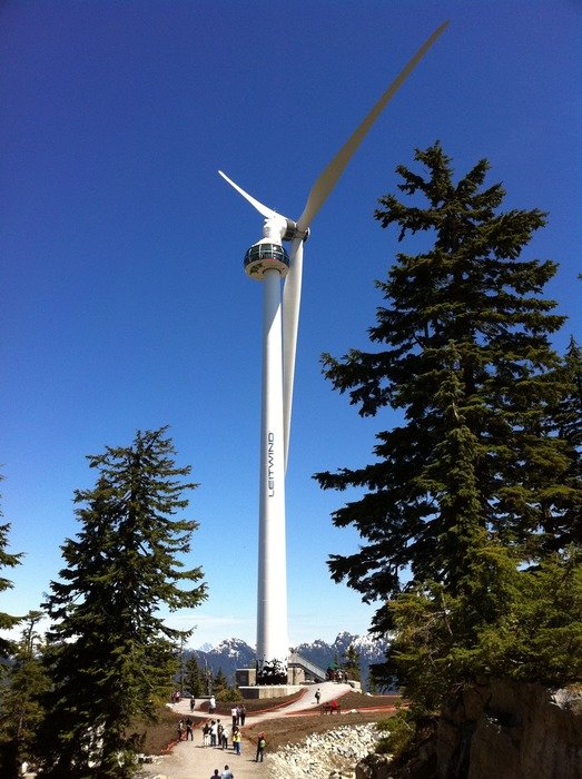 Windmill in the forest
