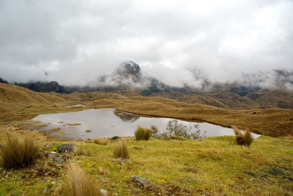 Water near the Andes