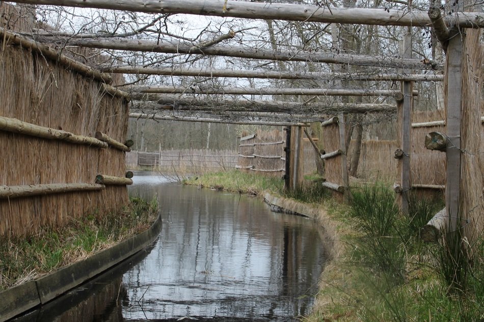 cage with bait on the water