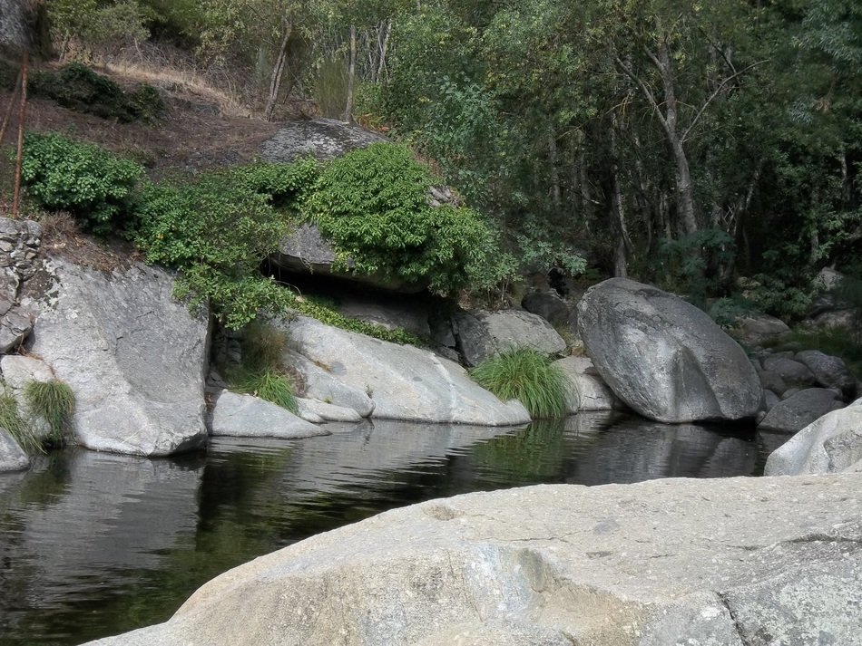 amazing riverscape