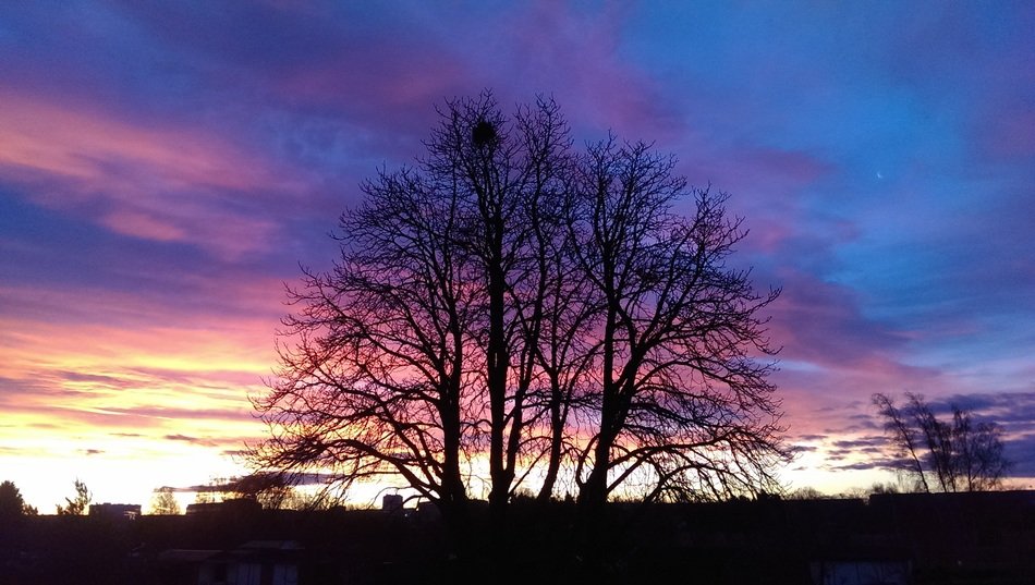 Beauty colorful sunset