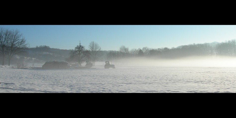 tractors on the winter forest