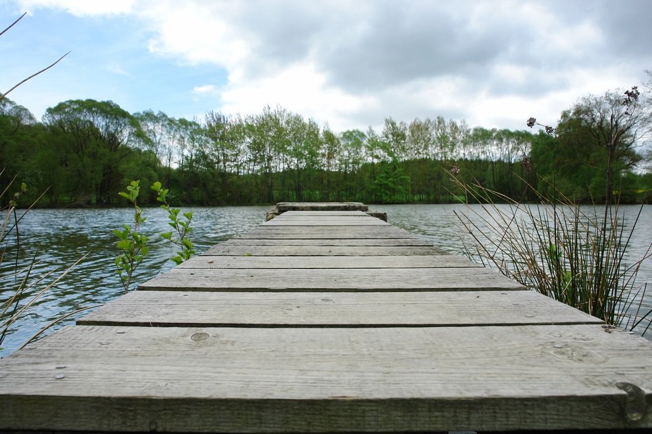wooden pier in the pond