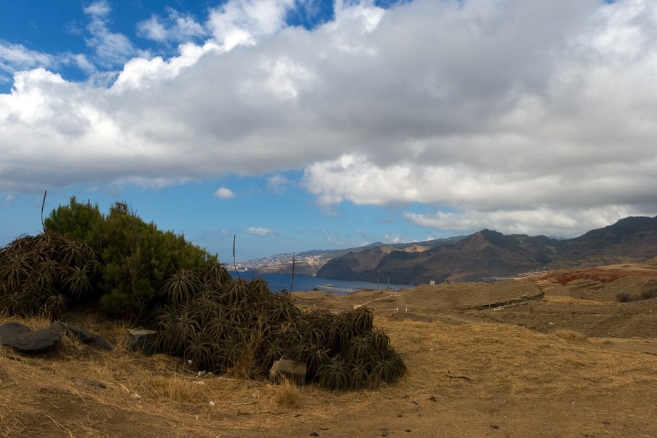 beautiful and amazing madeira landscape