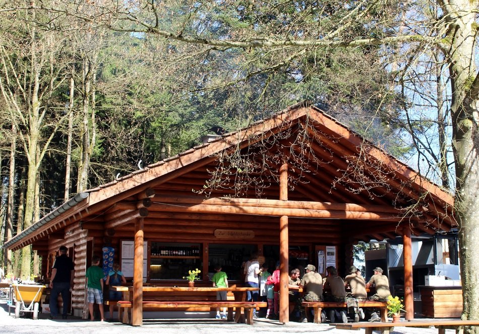 people in the forest tavern on a sunny day