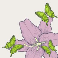 background for card with butterflies lily hand-drawn graphic style