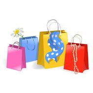 Shopping Bags N20