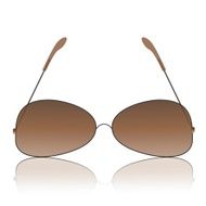 Sunglasses N60