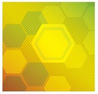 vector of bbstact modern hexagon background