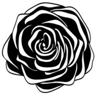 abstract black and white rose