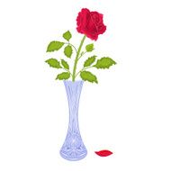 Roses in a vase