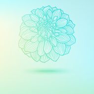 Hand drawn Dahlia flower