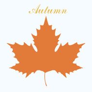 Maple Leaf Design N5