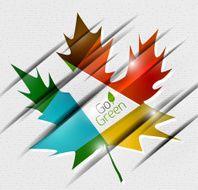 Autumn leaf on paper abstract background