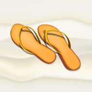 flipflops N3
