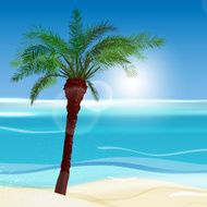 Palms