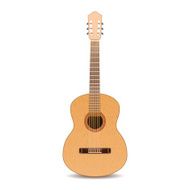 Guitar isolated Vector