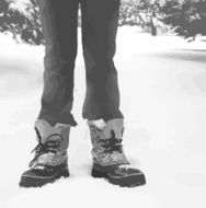 Standing In Snow