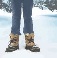 Standing In Snow C