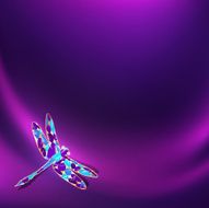 Jewelry Dragonfly