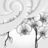 Abstract modern background N24