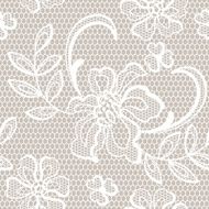 Old lace background ornamental flowers Vector texture N4