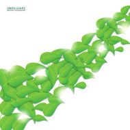 Green leaves abstract background