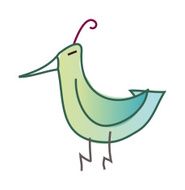 icon bird N6