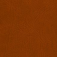 Leather N3