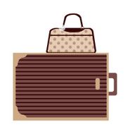 suitcase N8