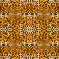 Leopard Backround