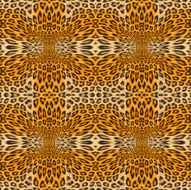 Leopard Backround