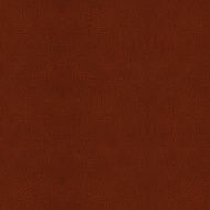 Leather N11