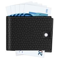 wallet with twenty euro banknotes
