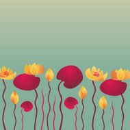 Water Lily