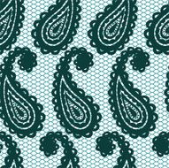 Lace seamless pattern with paisley N2
