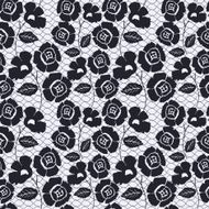 Seamless lace pattern N60