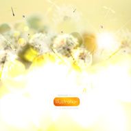 Dandelions Abstract Illustration