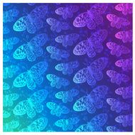 butterfly pattern N13