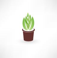 Flower in a pot icon N2