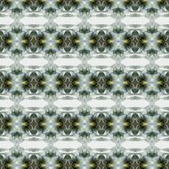Vintage shabby background with classy patterns N207