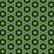 Vintage shabby background with classy patterns N216